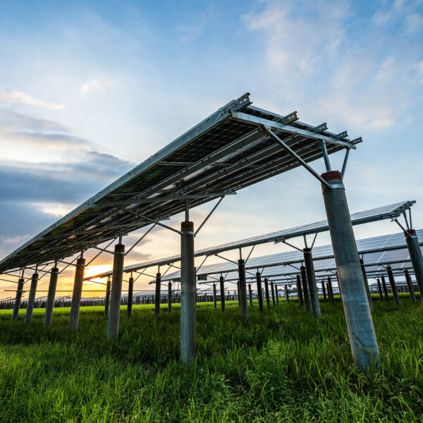 solar-power-plant-X3EXYCB.jpg